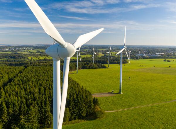 Group on large windmills in green grassy area